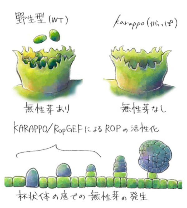 fig3.jpg