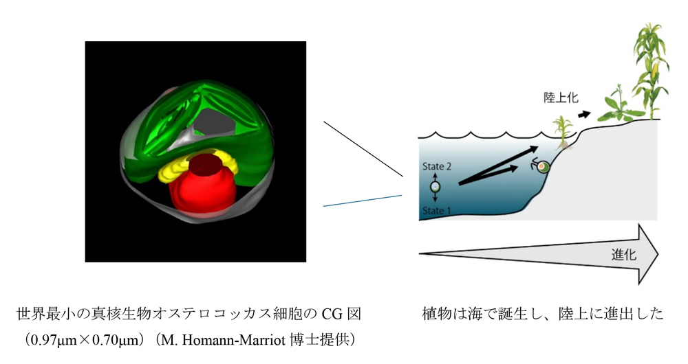fig0.jpg